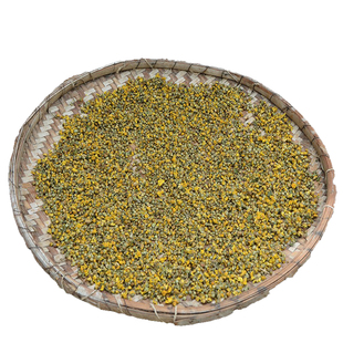 野菊花深山农家自晒正品小米菊胎菊瓶装凉茶四季解暑花草药材新货