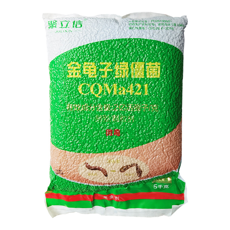 聚立信金龟子绿僵菌杀地下害虫
