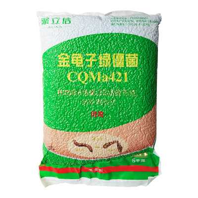 聚立信金龟子绿僵菌杀地下害虫