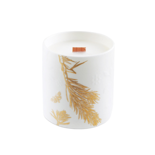 RoyalDutch莱顿花园骨瓷手握杯礼盒咖啡杯马克杯茶水杯子精致礼物