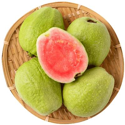 福建红心芭乐水果新鲜包邮低糖中小果翻蕃番石榴胭脂红四季巴乐果