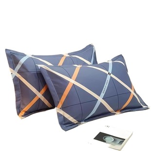 枕套一对装枕头套成人男女纯枕芯套棉加厚枕罩48x74cm宿舍牛奶绒