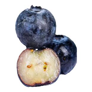 蓝莓树果苗盆栽带花苞南北方庭院种植天后奥尼尔薄雾蓝莓四季结果