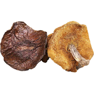 山东特产新鲜野生松蘑菇小香菇干货松菇炖鸡蘑菇山蛾子松蛾子剪根