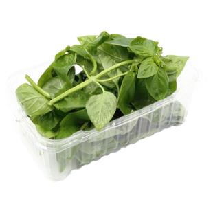 好新鲜罗勒叶西餐香料泰国品种调料披萨草非金不换九层塔顺丰包邮