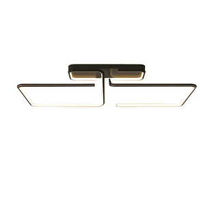 轻奢餐厅创意个性艺术大厅卧室客厅灯2026新款吸顶灯书房极简灯具