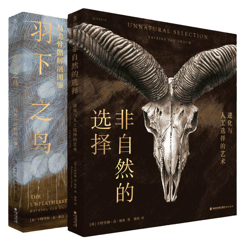 羽下之鸟+非自然的选择