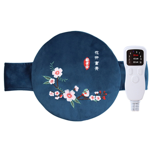 艾灸宝电加热家用理疗艾灸熏蒸仪器发热腰带艾草热敷袋插电艾灸包