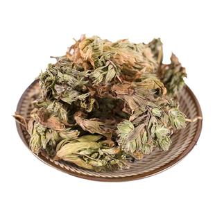 紫花地丁中药材四川野生地丁子地丁茶地丁草柴花苦地丁紫地丁草药