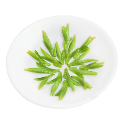 【早春特级】鲜嫩乌牛早罐装100g