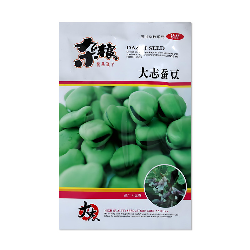 大志蚕豆种子杂粮蔬菜种子