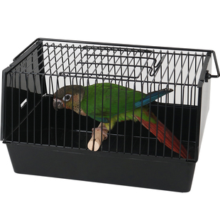 便携鸟运输笼外出鸟笼携带鹦鹉笼小鸟笼子手提笼枕笼虎皮牡丹玄凤