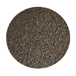 山东野菜种植基地灰灰菜种子山野菜阳台盆栽蔬菜易种植好吃包邮