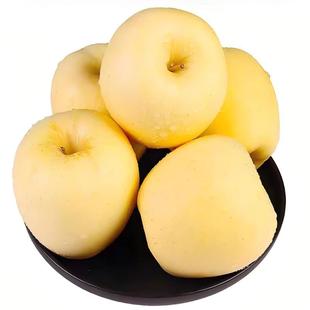 正宗维纳斯黄金苹果山东烟台水果新鲜当季整箱冰糖心产地顺丰包邮