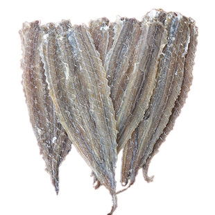 北海特产烧烤专用鳗鱼干商用鱼干大鳗鱼片白鳝甜咸味海鳗鱼丝500g