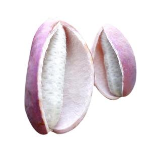 野生八月瓜种子特色紫果八月瓜树庭院爬藤植物食用水果八月炸种籽