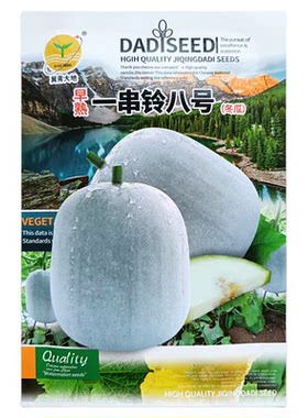 一串铃小冬瓜种子粉皮冬瓜种籽春秋播种早熟迷你小棒槌冬瓜果种孑