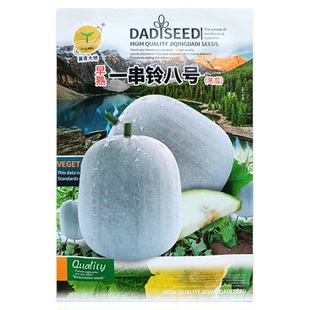 一串铃小冬瓜种子粉皮冬瓜种籽春秋播种早熟迷你小棒槌冬瓜果种孑