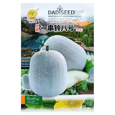 一串铃小冬瓜种子粉皮冬瓜种籽春秋播种早熟迷你小棒槌冬瓜果种孑