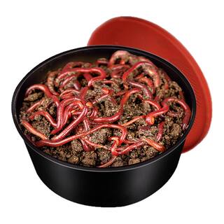 蚯蚓活饵鲜活红虫垂钓鱼饵料鲫鱼鲤鱼野钓黑坑鱼料打窝料鱼食通杀