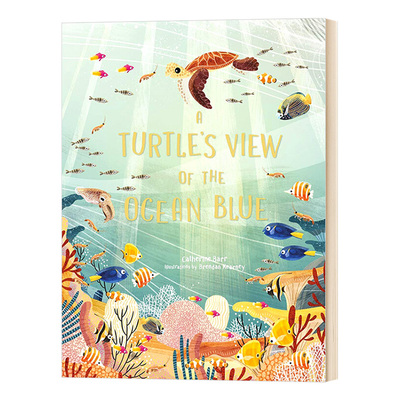 海龟眼中的海洋 A Turtle's View of the Ocean Blue 英文原版儿童绘本 进口英语启蒙读物书籍