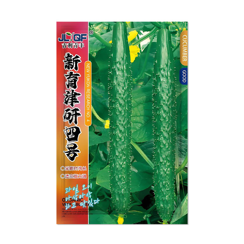 吉利青丰新育津研四号黄瓜种子