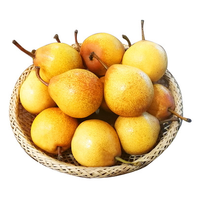 东北特产辽宁鞍山梨葫芦梨尖把梨