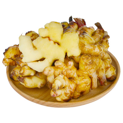 云南小黄姜生姜干老姜嫩姜土姜现挖高山沙姜5斤当季新鲜带箱重量