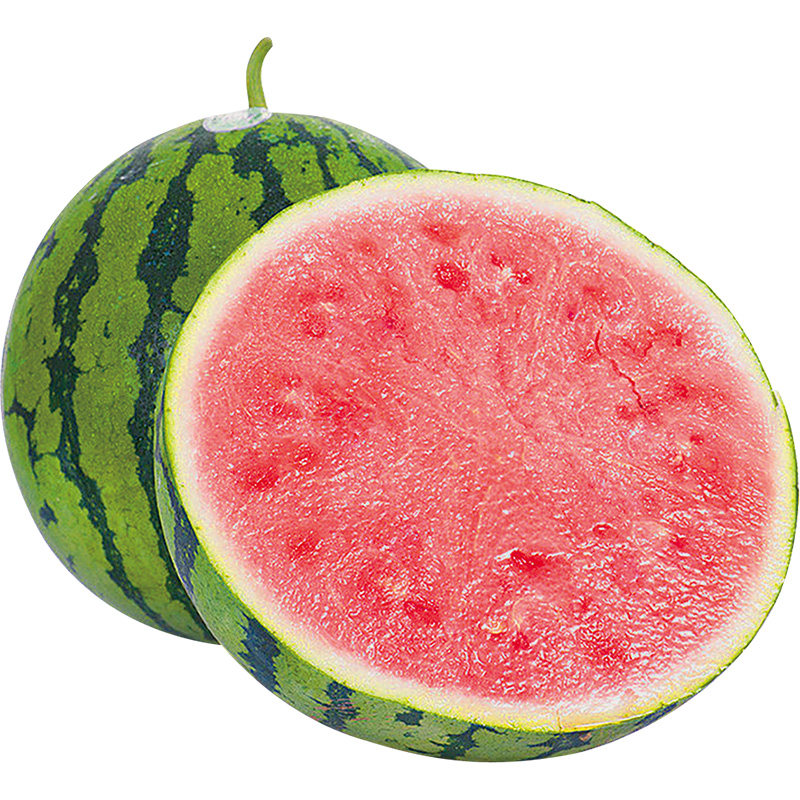 西瓜苗冰糖麒麟大西瓜苗秧8424美都2K家庭阳台盆栽水果四季蔬菜苗