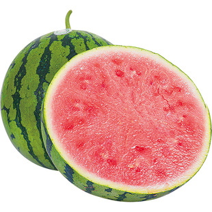 西瓜苗冰糖麒麟大西瓜苗秧8424美都2K家庭阳台盆栽水果四季蔬菜苗