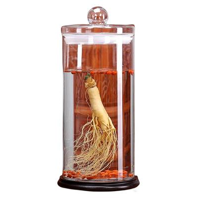 森美仁长白山人参泡酒人参保鲜参