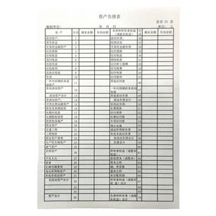 【25张】提供定制打印服务 资产负债表 利润表 现金流量表 损益表 A4尺寸