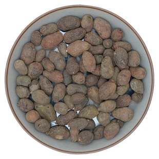 中药材 蒲桃 乌楣 羊屎果 十年果 麻栗 乌墨 500g克 统