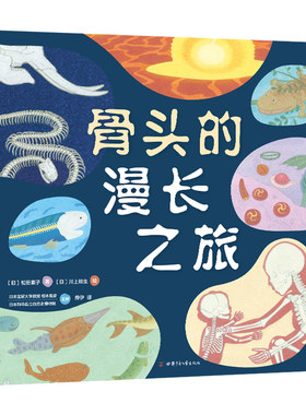 骨头的漫长之旅  松田素子  川上和生  进化  生物简史  大海  陆地  无脊椎  有脊椎  科普绘本  5岁以上  精装