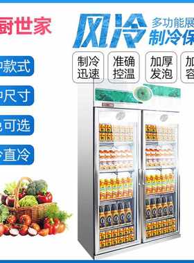 双门饮料啤酒柜 商用铜管冷藏冰柜玻璃门展示柜 立式单门保鲜冰箱