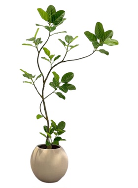 雅致仿真绿植假植物大型盆栽