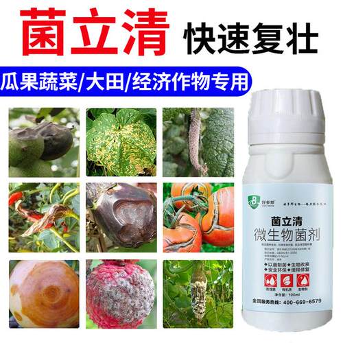 沃柯易菌立清微生物菌剂黄瓜茄子辣椒番茄豆角葱姜蒜微生物肥料