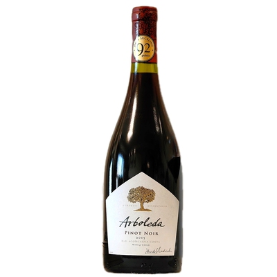 智利名庄黑皮诺小众精品红葡萄酒