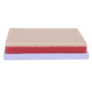 85cm170cm人体骨骼模型骨架可拆卸 人体脊柱模型仿真小白骷髅标本