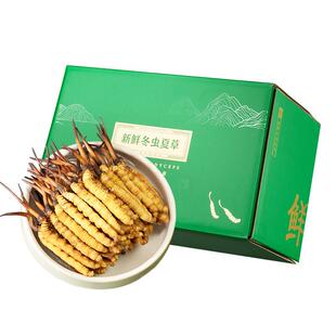 【2026头茬鲜虫草】新鲜冬虫夏草0.6克/根起滋补泡水正品礼盒装