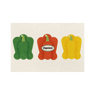 爱迪生水果丝圈入户门地垫家用耐磨防滑进门门口脚垫可定制氛围感