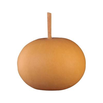 forsunny福三源葫芦柿子苹果