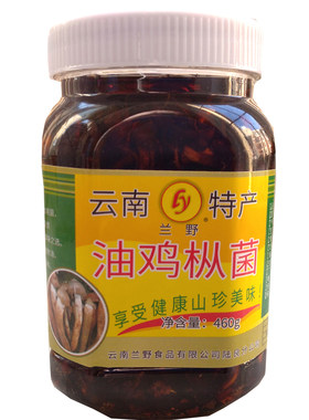 即食蘑菇油鸡枞菌兰野云南特产