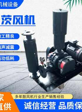 济南三特沼气负压抽真空罗茨风机 鱼虾增氧污水处理曝气罗茨风机