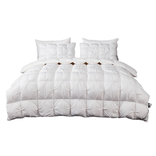 五星级酒店正品匈牙利羽绒被白鹅绒冬被保暖双人被子被芯春秋