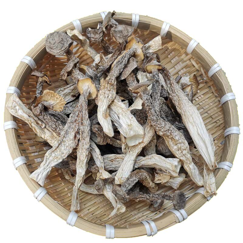 今年新货新鲜鹿茸菌美味鹿茸菇无硫农家香菇类干货煲汤蘑菇食用菌
