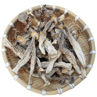 今年新货新鲜鹿茸菌美味鹿茸菇无硫农家香菇类干货煲汤蘑菇食用菌
