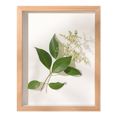 植物立体中空衍纸画摆件标本框