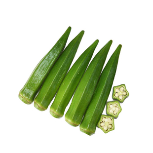 进口黄秋葵种子杨贵妃黄秋葵种子卡里巴绿秋葵台湾五福春季