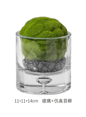 玻璃永生苔藓盆景摆件